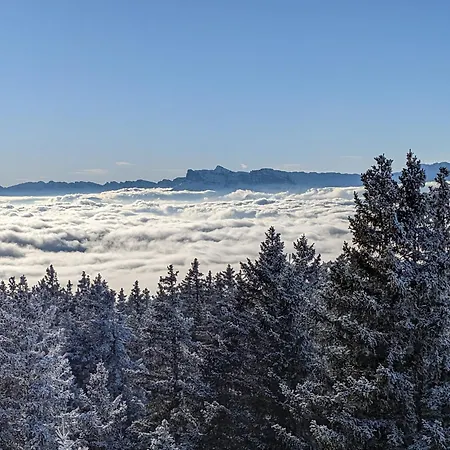 Apartamento 6-8p 1750 Chamrousse